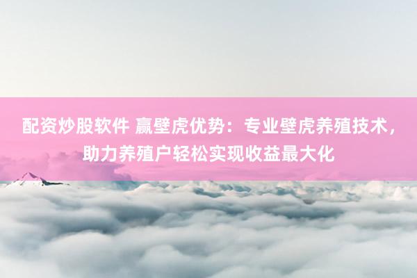 配资炒股软件 赢壁虎优势：专业壁虎养殖技术，助力养殖户轻松实现收益最大化