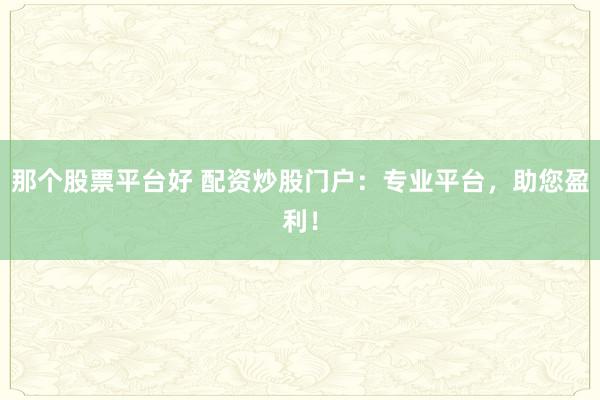 那个股票平台好 配资炒股门户:专业平台,助您盈利!
