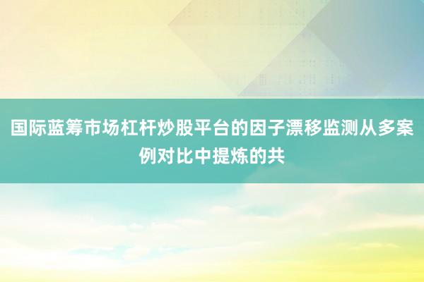 国际蓝筹市场杠杆炒股平台的因子漂移监测从多案例对比中提炼的共