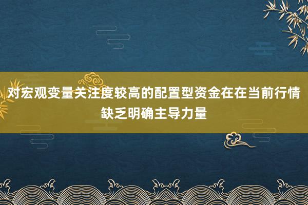 对宏观变量关注度较高的配置型资金在在当前行情缺乏明确主导力量