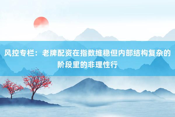 风控专栏：老牌配资在指数维稳但内部结构复杂的阶段里的非理性行