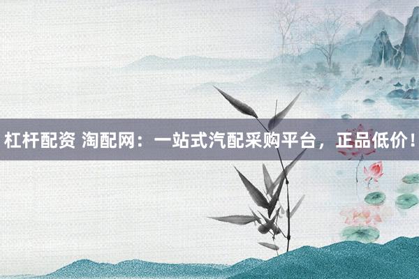 杠杆配资 淘配网：一站式汽配采购平台，正品低价！